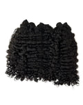 Burmese Curly