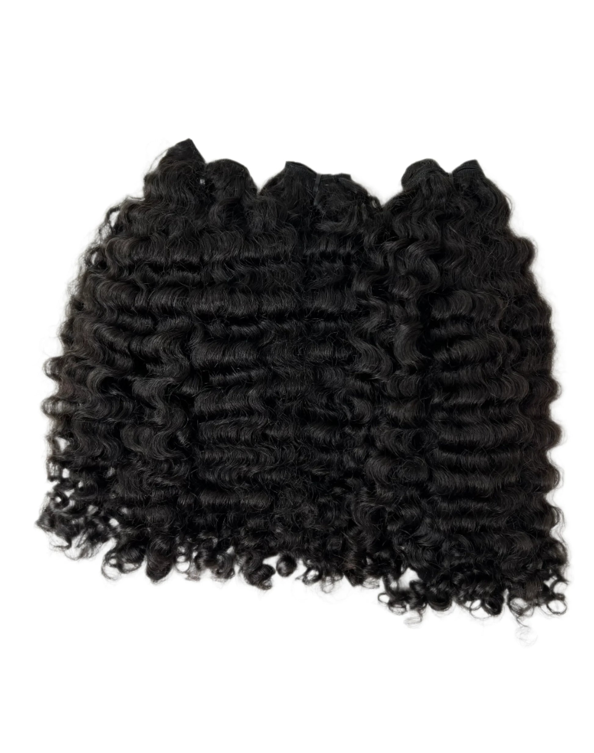 Burmese Curly